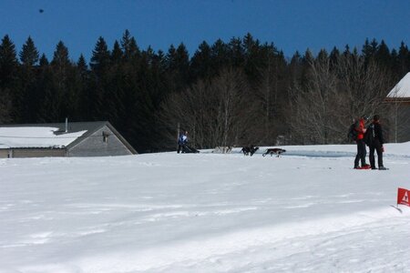 La Pesse 2014  Course de chiens de traineau  (dimanche 09/03/2014), IMG_4991