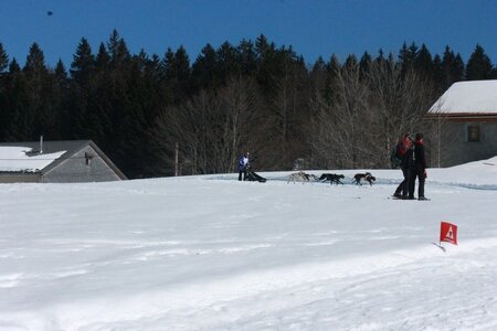La Pesse 2014  Course de chiens de traineau  (dimanche 09/03/2014), IMG_4992