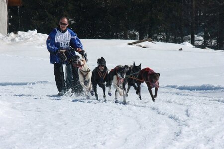 La Pesse 2014  Course de chiens de traineau  (dimanche 09/03/2014), IMG_4994
