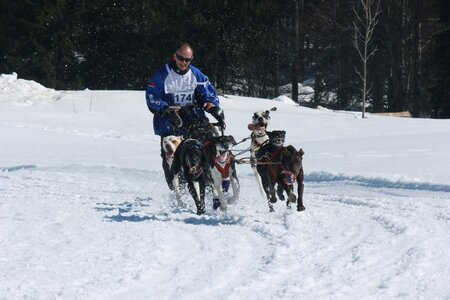 La Pesse 2014  Course de chiens de traineau  (dimanche 09/03/2014), IMG_4995