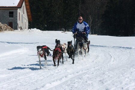 La Pesse 2014  Course de chiens de traineau  (dimanche 09/03/2014), IMG_4997