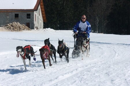 La Pesse 2014  Course de chiens de traineau  (dimanche 09/03/2014), IMG_4998