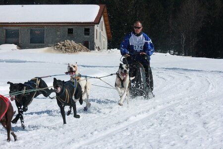 La Pesse 2014  Course de chiens de traineau  (dimanche 09/03/2014), IMG_4999