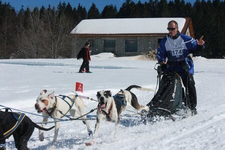 La Pesse 2014  Course de chiens de traineau  (dimanche 09/03/2014), IMG_5000