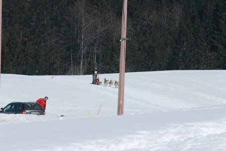 La Pesse 2014  Course de chiens de traineau  (dimanche 09/03/2014), IMG_5001