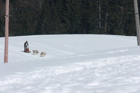 La Pesse 2014  Course de chiens de traineau  (dimanche 09/03/2014), IMG_5002