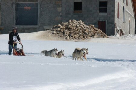 La Pesse 2014  Course de chiens de traineau  (dimanche 09/03/2014), IMG_5007