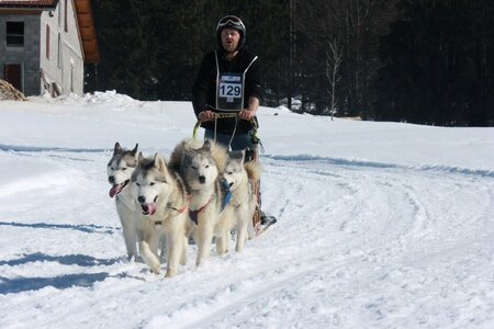 La Pesse 2014  Course de chiens de traineau  (dimanche 09/03/2014), IMG_5013