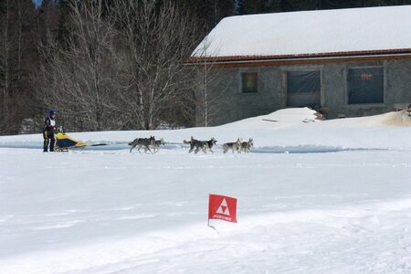 La Pesse 2014  Course de chiens de traineau  (dimanche 09/03/2014), IMG_5019