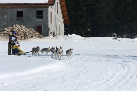 La Pesse 2014  Course de chiens de traineau  (dimanche 09/03/2014), IMG_5020