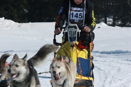 La Pesse 2014  Course de chiens de traineau  (dimanche 09/03/2014), IMG_5026