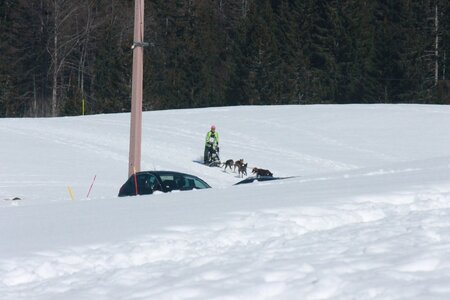 La Pesse 2014  Course de chiens de traineau  (dimanche 09/03/2014), IMG_5030