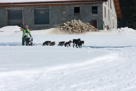 La Pesse 2014  Course de chiens de traineau  (dimanche 09/03/2014), IMG_5033