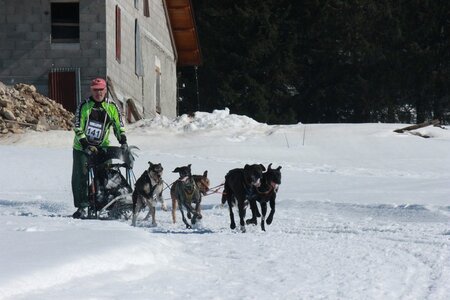 La Pesse 2014  Course de chiens de traineau  (dimanche 09/03/2014), IMG_5034