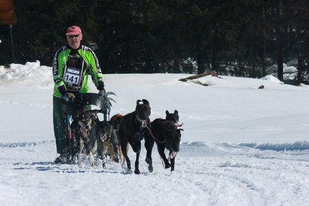 La Pesse 2014  Course de chiens de traineau  (dimanche 09/03/2014), IMG_5035