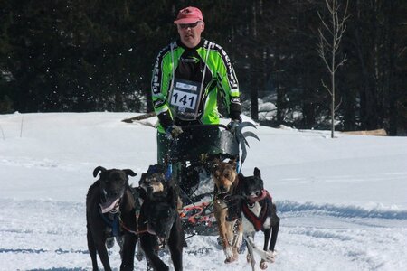 La Pesse 2014  Course de chiens de traineau  (dimanche 09/03/2014), IMG_5037