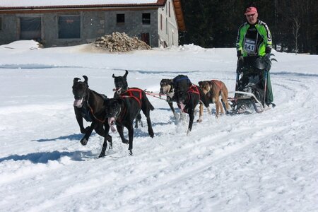 La Pesse 2014  Course de chiens de traineau  (dimanche 09/03/2014), IMG_5039