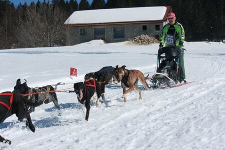 La Pesse 2014  Course de chiens de traineau  (dimanche 09/03/2014), IMG_5040