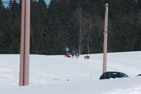 La Pesse 2014  Course de chiens de traineau  (dimanche 09/03/2014), IMG_5042