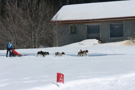 La Pesse 2014  Course de chiens de traineau  (dimanche 09/03/2014), IMG_5045