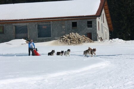 La Pesse 2014  Course de chiens de traineau  (dimanche 09/03/2014), IMG_5046