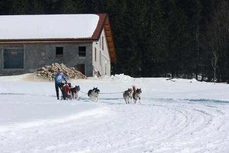 La Pesse 2014  Course de chiens de traineau  (dimanche 09/03/2014), IMG_5047