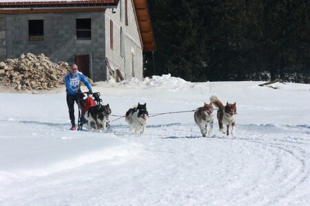 La Pesse 2014  Course de chiens de traineau  (dimanche 09/03/2014), IMG_5048