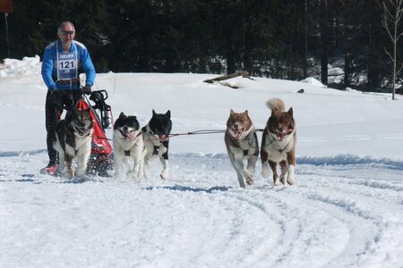 La Pesse 2014  Course de chiens de traineau  (dimanche 09/03/2014), IMG_5049