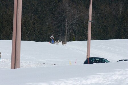 La Pesse 2014  Course de chiens de traineau  (dimanche 09/03/2014), IMG_5056