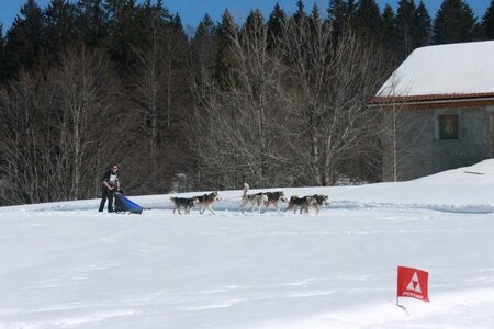 La Pesse 2014  Course de chiens de traineau  (dimanche 09/03/2014), IMG_5059