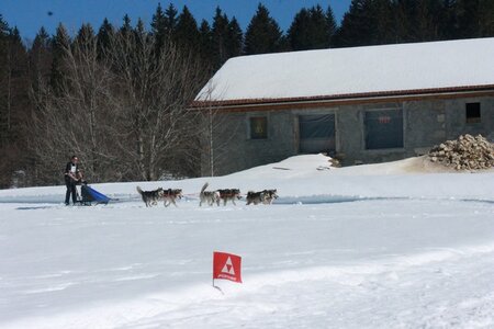 La Pesse 2014  Course de chiens de traineau  (dimanche 09/03/2014), IMG_5060