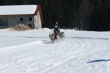 La Pesse 2014  Course de chiens de traineau  (dimanche 09/03/2014), IMG_5062