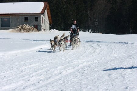 La Pesse 2014  Course de chiens de traineau  (dimanche 09/03/2014), IMG_5063