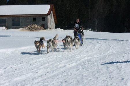 La Pesse 2014  Course de chiens de traineau  (dimanche 09/03/2014), IMG_5064