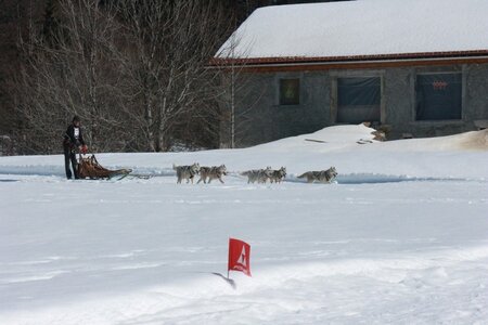 La Pesse 2014  Course de chiens de traineau  (dimanche 09/03/2014), IMG_5071