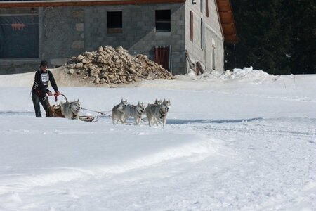 La Pesse 2014  Course de chiens de traineau  (dimanche 09/03/2014), IMG_5073