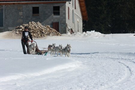 La Pesse 2014  Course de chiens de traineau  (dimanche 09/03/2014), IMG_5074