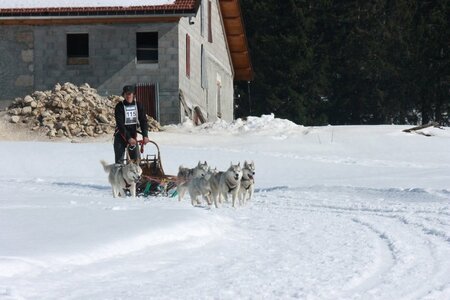 La Pesse 2014  Course de chiens de traineau  (dimanche 09/03/2014), IMG_5075