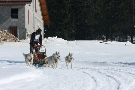 La Pesse 2014  Course de chiens de traineau  (dimanche 09/03/2014), IMG_5076