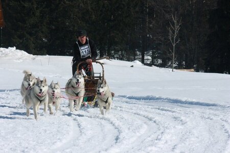 La Pesse 2014  Course de chiens de traineau  (dimanche 09/03/2014), IMG_5080