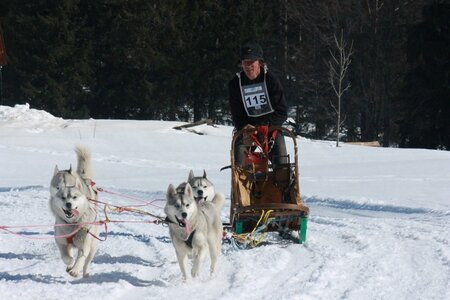 La Pesse 2014  Course de chiens de traineau  (dimanche 09/03/2014), IMG_5082
