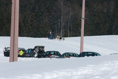 La Pesse 2014  Course de chiens de traineau  (dimanche 09/03/2014), IMG_5084