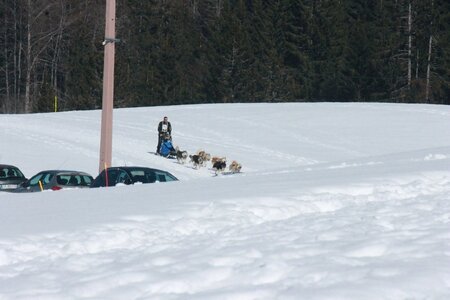 La Pesse 2014  Course de chiens de traineau  (dimanche 09/03/2014), IMG_5085