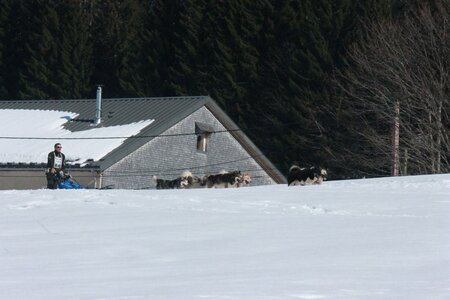 La Pesse 2014  Course de chiens de traineau  (dimanche 09/03/2014), IMG_5086