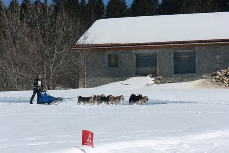 La Pesse 2014  Course de chiens de traineau  (dimanche 09/03/2014), IMG_5089