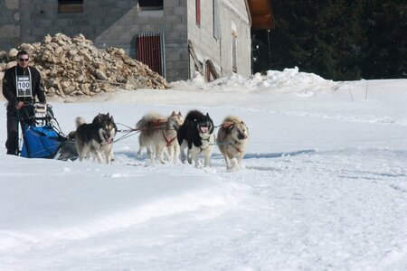 La Pesse 2014  Course de chiens de traineau  (dimanche 09/03/2014), IMG_5090
