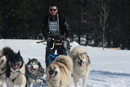 La Pesse 2014  Course de chiens de traineau  (dimanche 09/03/2014), IMG_5094