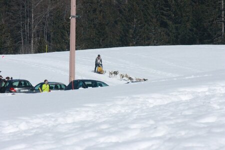 La Pesse 2014  Course de chiens de traineau  (dimanche 09/03/2014), IMG_5100