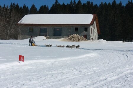 La Pesse 2014  Course de chiens de traineau  (dimanche 09/03/2014), IMG_5103