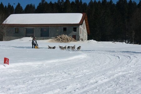 La Pesse 2014  Course de chiens de traineau  (dimanche 09/03/2014), IMG_5104